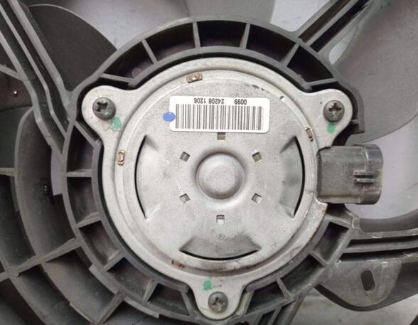 Radiator Electric Fan  Motor PEUGEOT 207 (WA_, WC_)