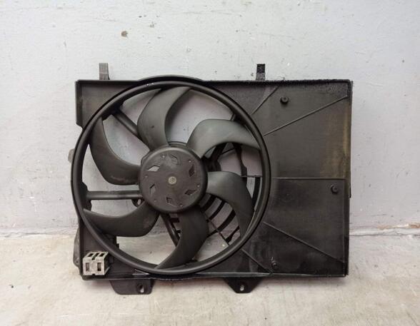 Radiator Electric Fan  Motor PEUGEOT 207 (WA_, WC_)