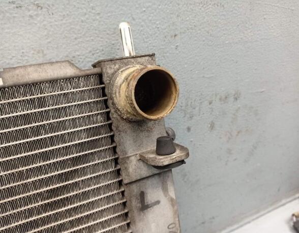 Radiateur RENAULT CLIO III (BR0/1, CR0/1)