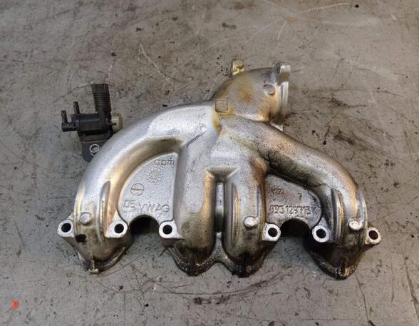 Intake Manifold VW TOURAN (1T1, 1T2), VW TOURAN (1T3)