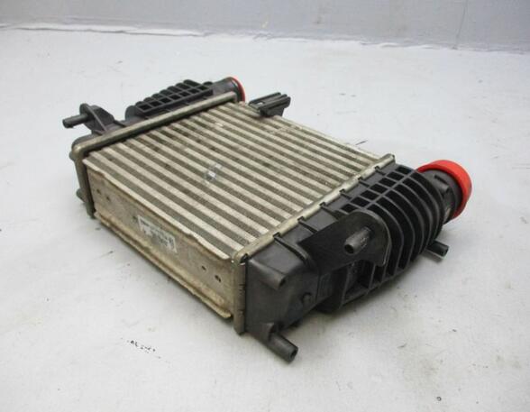 Intercooler RENAULT Clio III (BR0/1, CR0/1)