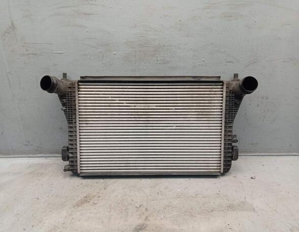 Intercooler SKODA OCTAVIA II Combi (1Z5)