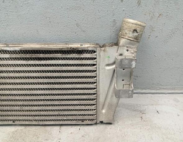 Intercooler RENAULT MEGANE II (BM0/1_, CM0/1_)