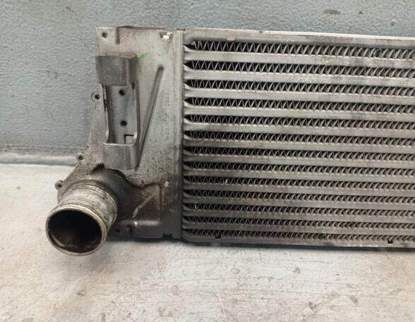 Intercooler RENAULT MEGANE II (BM0/1_, CM0/1_)