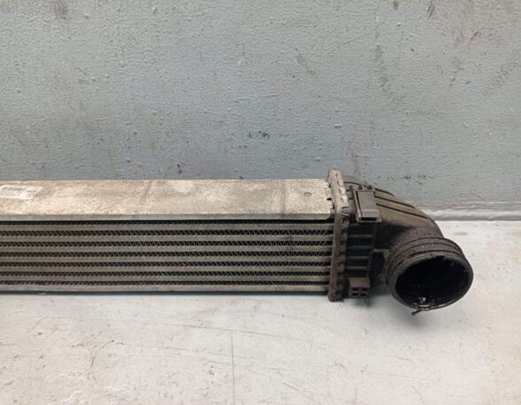 Intercooler MERCEDES-BENZ A-CLASS (W169)