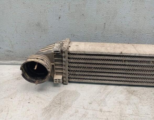 Intercooler MERCEDES-BENZ B-CLASS (W245)