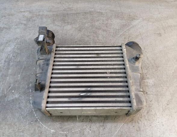 Intercooler AUDI A4 (8EC, B7)