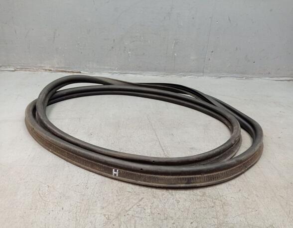 Boot / Trunk Lid Seal RENAULT ZOE (BFM_)