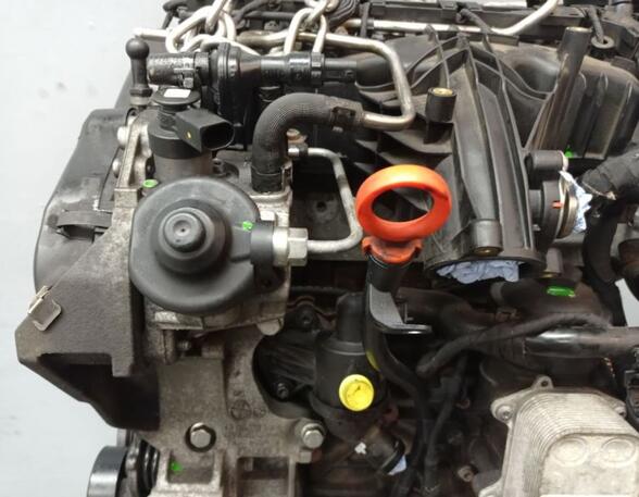 Motor (Diesel) Engine CFHC CFH SKODA OCTAVIA II COMBI (1Z5) 2.0 TDI 16V 4X4 103 KW