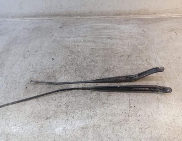 Wiper Arm RENAULT CLIO III (BR0/1, CR0/1)