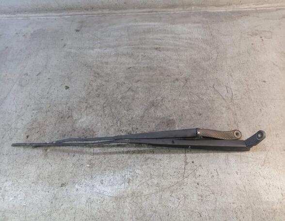 Wiper Arm RENAULT CLIO III (BR0/1, CR0/1)