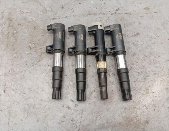 Ignition Coil RENAULT CLIO III (BR0/1, CR0/1)