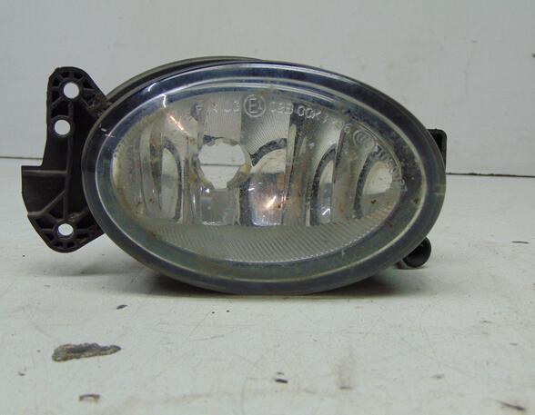 Fog Light MERCEDES-BENZ A-Klasse (W169)