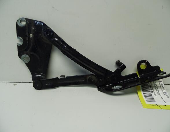 Bonnet Hinge VW Golf Plus (521, 5M1)