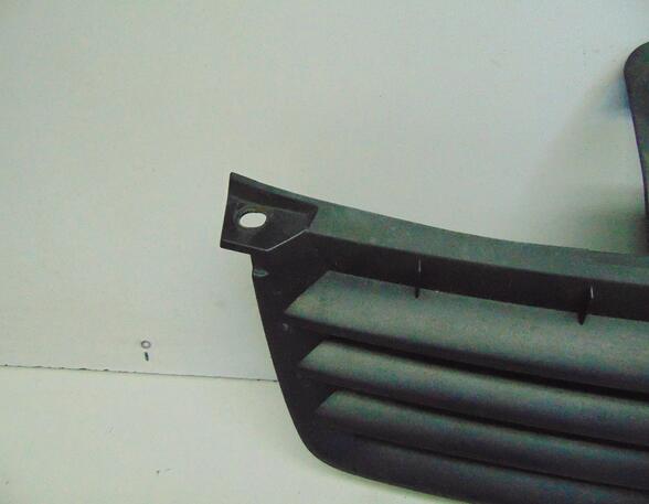 Radiator Grille VW POLO (9N_)