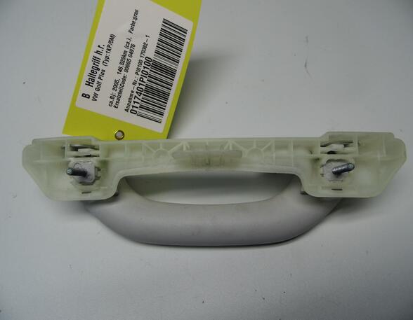 Door Handle VW GOLF PLUS (5M1, 521)