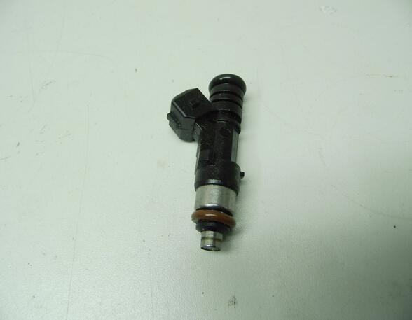 Injector Nozzle FORD FIESTA VI (CB1, CCN)