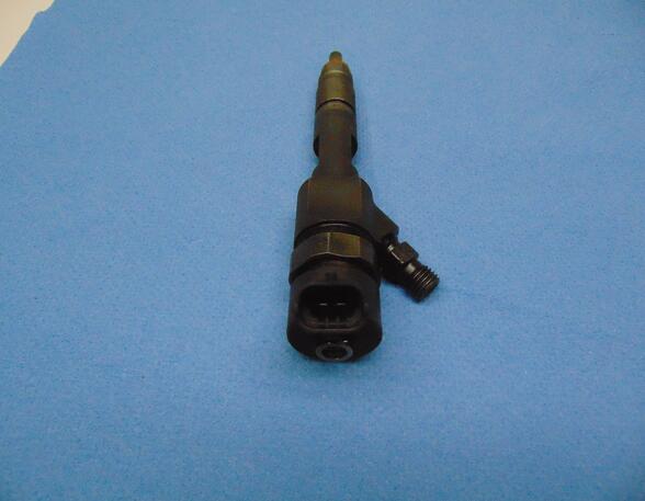 Injector Nozzle RENAULT SCÉNIC II (JM0/1_)