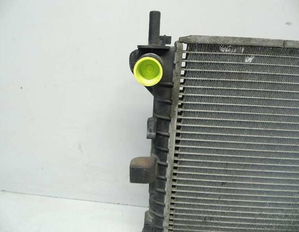 Radiator FORD FOCUS (DAW, DBW)