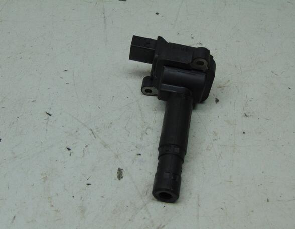 Ignition Coil MERCEDES-BENZ C-Klasse (W204)