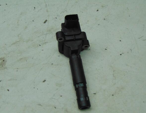 Ignition Coil MERCEDES-BENZ C-Klasse (W204)