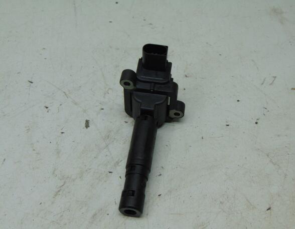 Ignition Coil MERCEDES-BENZ C-Klasse (W204)