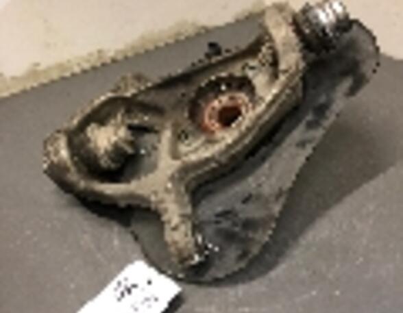 Stub Axle AUDI R8 (4S3, 4SP)