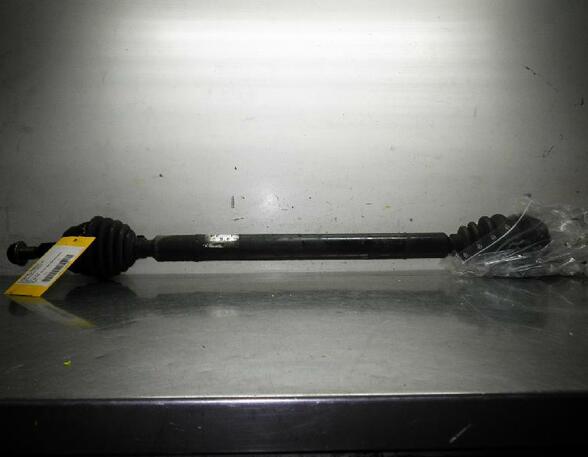 Drive Shaft VW Golf IV (1J1)