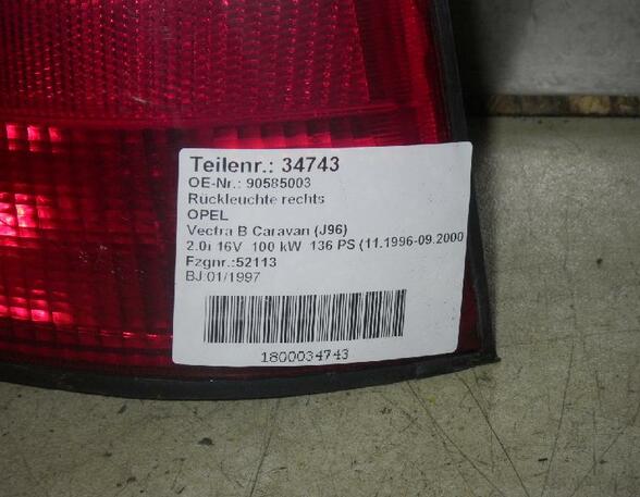 Combination Rearlight OPEL Vectra B Caravan (31)