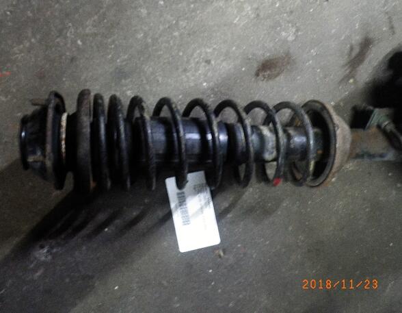 Suspension Strut VW Kaefer (--)