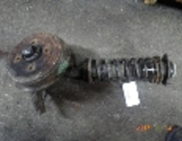 Suspension Strut VW Kaefer (--)