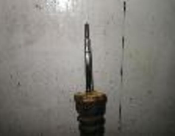 Shock Absorber FORD Focus (DAW, DBW)