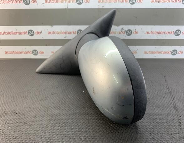 Wing (Door) Mirror RENAULT Laguna I (556, B56)