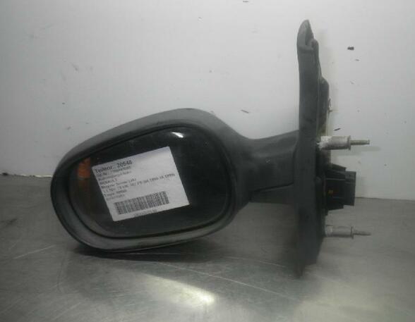 Wing (Door) Mirror RENAULT Megane Scenic (JA0/1)