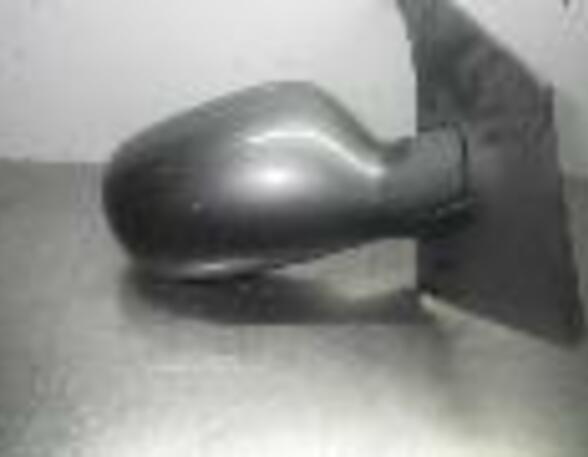 Wing (Door) Mirror RENAULT Megane Scenic (JA0/1)