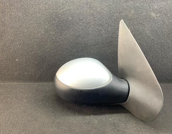 Wing (Door) Mirror PEUGEOT 206+ (2L, 2M)