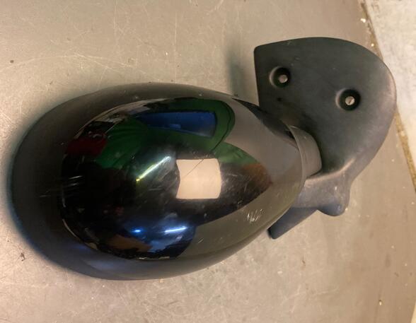 Wing (Door) Mirror RENAULT Twingo I (C06)