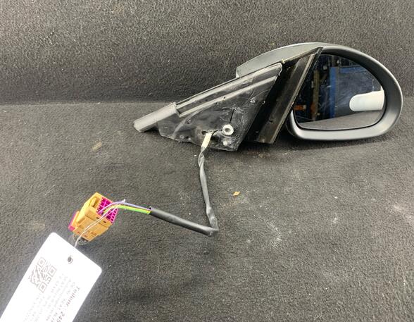 Wing (Door) Mirror SEAT Ibiza III (6L1)