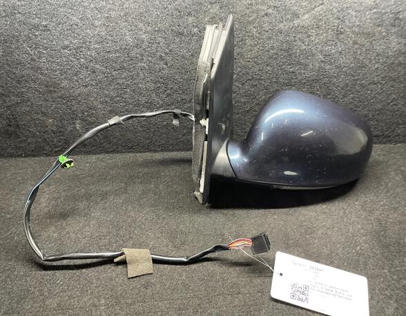 Wing (Door) Mirror VW GOLF PLUS (5M1, 521)