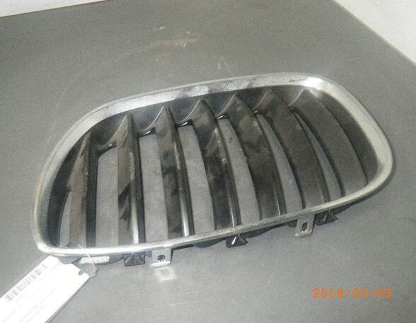 Radiator Grille BMW X5 (E53)