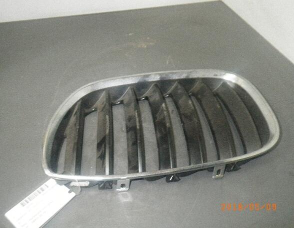 Radiator Grille BMW X5 (E53)