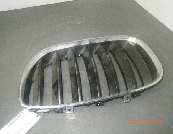 Radiator Grille BMW X5 (E53)