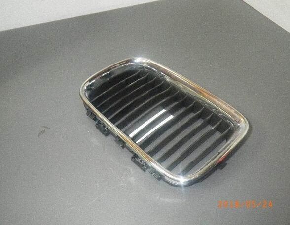 Radiator Grille BMW 3er (E36)