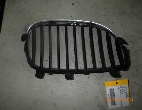 Radiator Grille BMW 5er (E60), BMW 5er (F10)