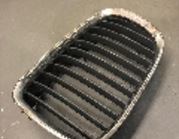 Radiator Grille BMW 5er (E39)