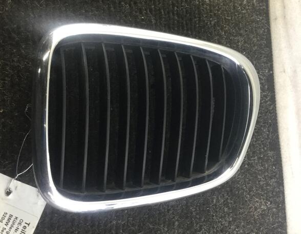 Radiator Grille BMW 5er (E39)