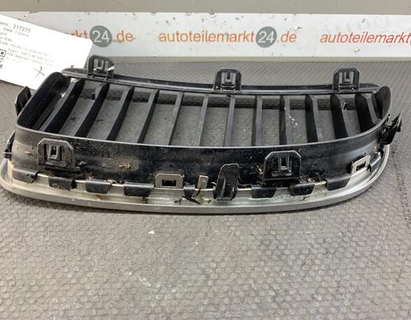 Radiator Grille BMW 3er (E90)