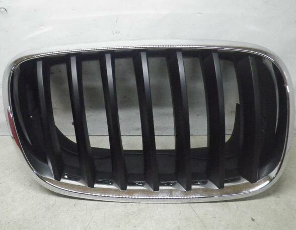 Radiator Grille BMW X5 (E70), BMW X3 (F25), BMW X5 (F15, F85)