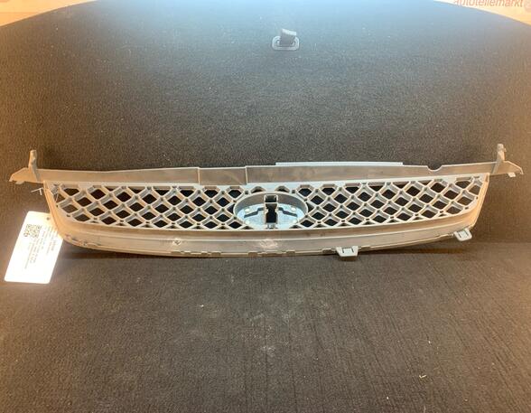 Radiateurgrille FORD Fiesta V (JD, JH)