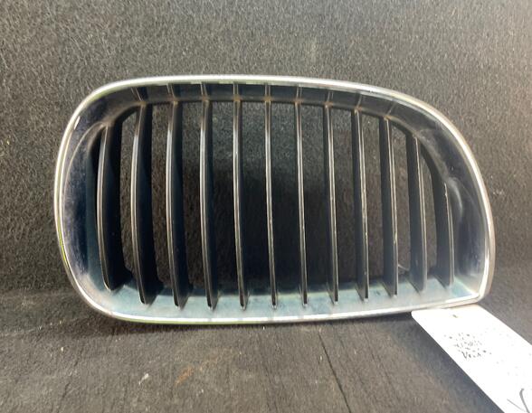 Radiateurgrille BMW 1 (E87), BMW 1 (E81)